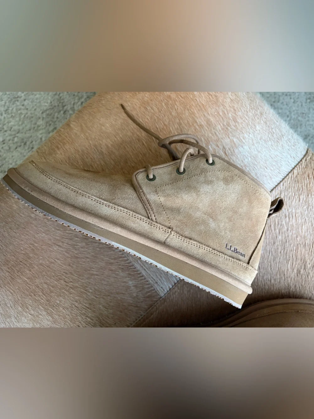 LL Bean Men's Suede Chukka Boots in Tan with Shearling Lining